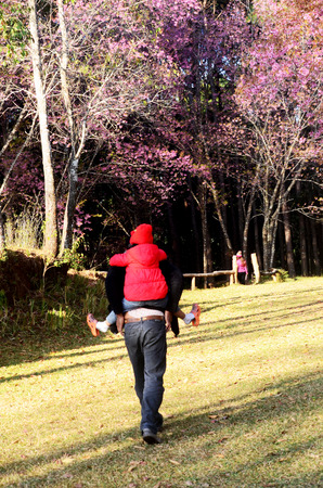 Children riding in the back  daddyの写真素材