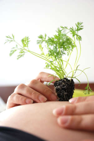 Roots on pregnant womanの写真素材