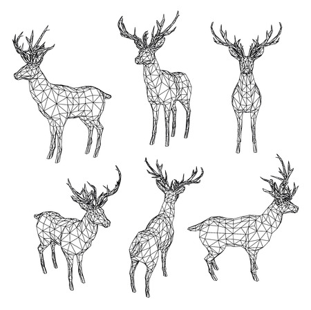Deer polygonal lines illustration. Abstract vector deer on the white backgroundのイラスト素材