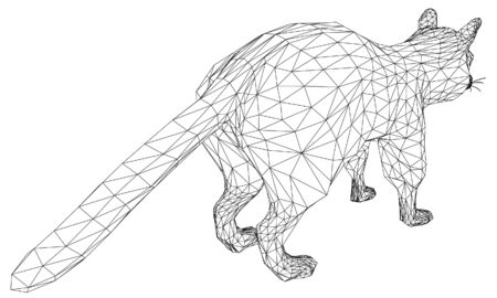 Raccoon lines illustration. Abstract vector raccoon on the white backgroundのイラスト素材