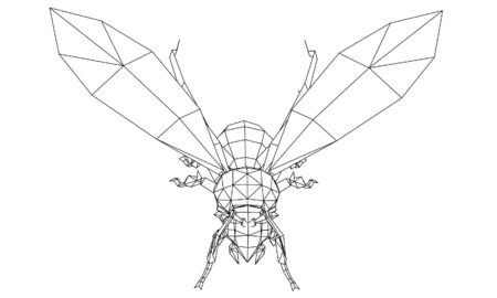 Vector illustration of a wasp. Abstract linear insect.のイラスト素材