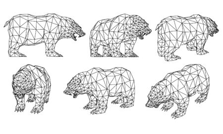 Bear polygonal lines illustration. Abstract vector bear on the white backgroundのイラスト素材