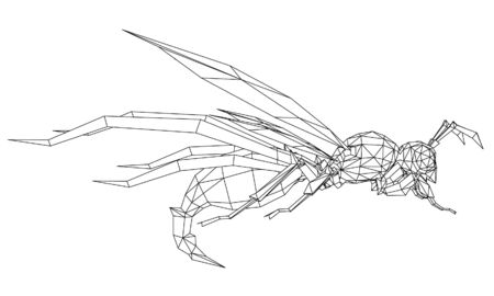Vector illustration of a wasp. Abstract linear insect.のイラスト素材