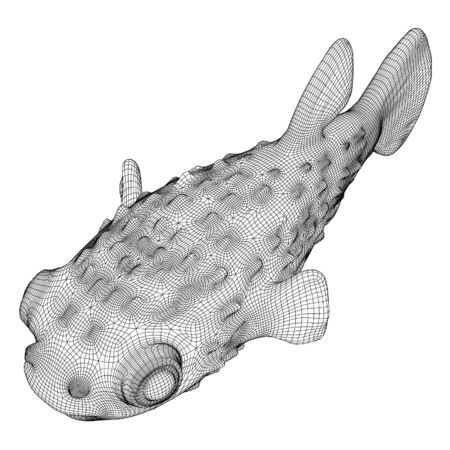 Puffer fish polygonal lines illustration. Abstract vector fish on the white backgroundのイラスト素材