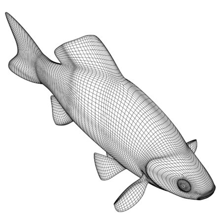 Crucian fish polygonal lines illustration. Abstract vector fish on the white backgroundのイラスト素材