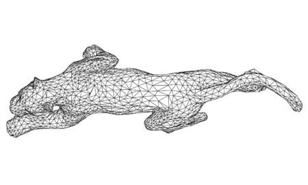 Attack leopard lines illustration. Abstract vector leopard on the white backgroundのイラスト素材