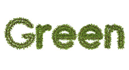 3D green text on white background. Leaf style text.の写真素材