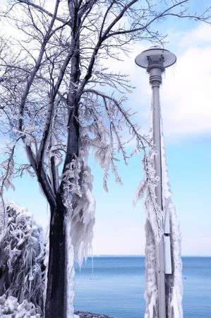 After the snowstorm 2.