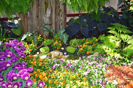 A beautiful indoor garden and flower show in very early spring in thebotanic garden in Hamilton Ontario, Canada の写真素材