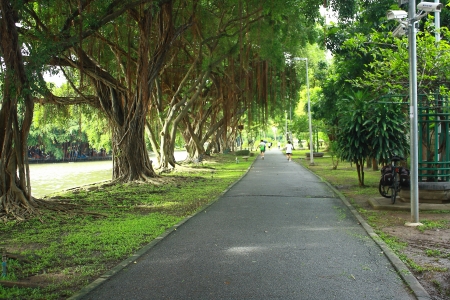 pathway for runningの写真素材