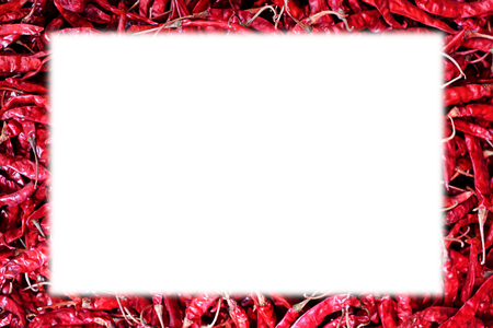 Red chili picture frameの写真素材