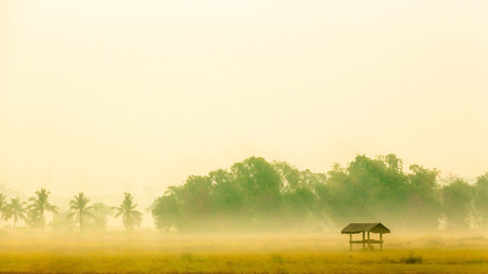 A morning landscape scene in a countryside featuring fog-covered farmland with an abandoned hut. Soft focus, pastel colorの写真素材