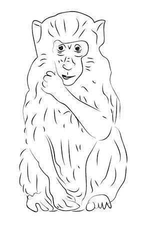 Hand-drawn sketch of sitting monkeyのイラスト素材