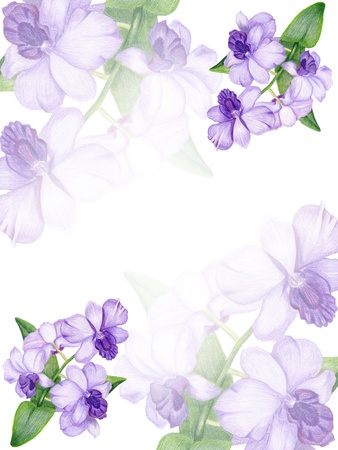 Gentle floral invitation with lilac orchidの写真素材