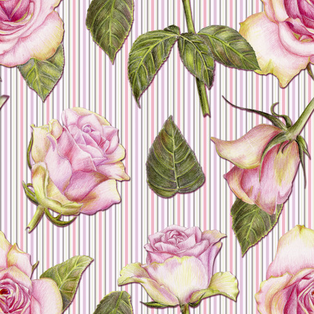 Beautiful pencilled pattern with roses on striped backgroundの写真素材