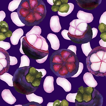 Mangosteen pattern on purple dark backgroundの写真素材