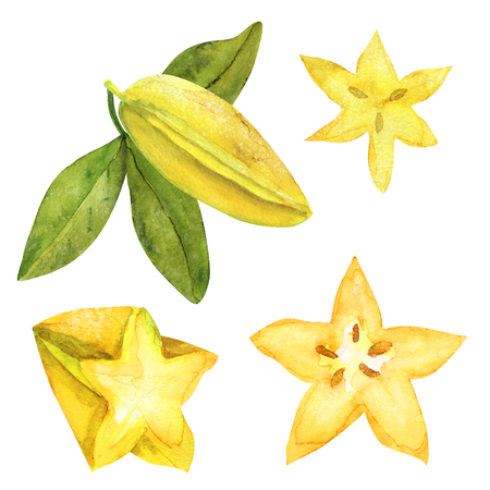 Hand drawn starfruit setの写真素材