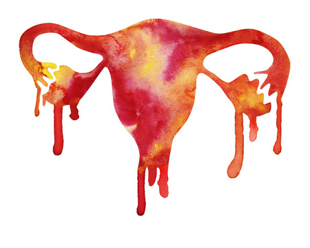 Reproductive system with paint smudgesの写真素材