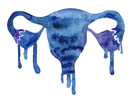 Female reproductive system with watercolor paint smudgesの写真素材