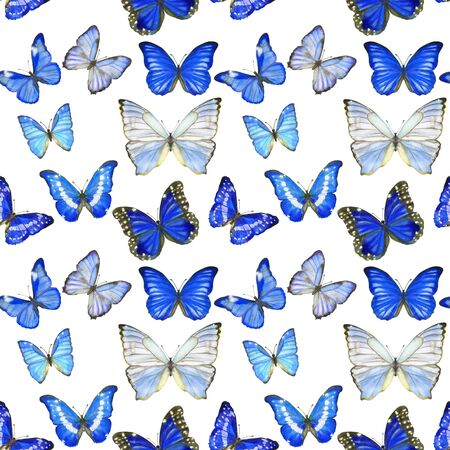 Hand drawn seamless pattern with butterflies Morpho on whiteの写真素材