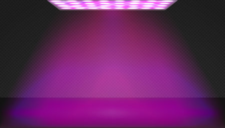 Led red and blue spectrum square phytolamp for indoor plant growing above countertopのイラスト素材