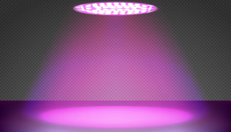 Led red and blue spectrum round phytolamp for indoor plant growing above countertopのイラスト素材