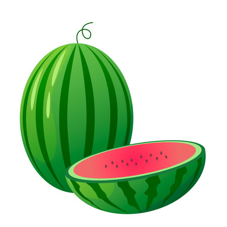 Watermelon and slice. Vector illustrationのイラスト素材