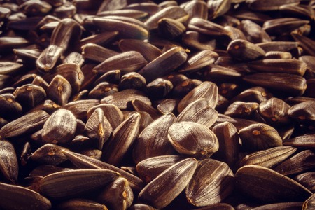Black sunflower seeds closeup without additional foodの写真素材