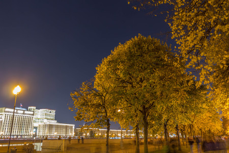 Trees in the park with evening lights lanterns. Autumn period.の写真素材