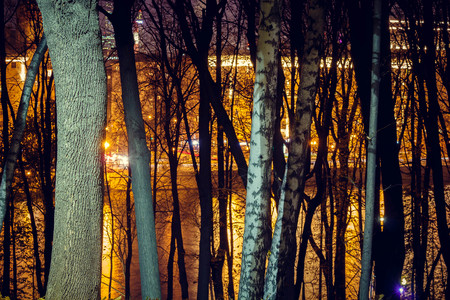 Trees in the park against the background of the evening city with lights. Autumn.