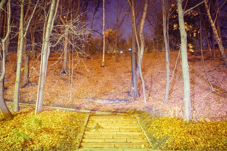 Stone staircase in the park against the backdrop of trees on the mountain. Autumn.