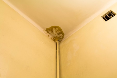 Peeling paint on the ceiling. Rusty water leaking pipe.