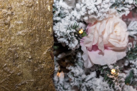 Christmas decoration with a scarlet rose on the branchesの写真素材