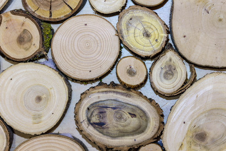 Scenery from a well-known round saw cut. A lot of barsの写真素材