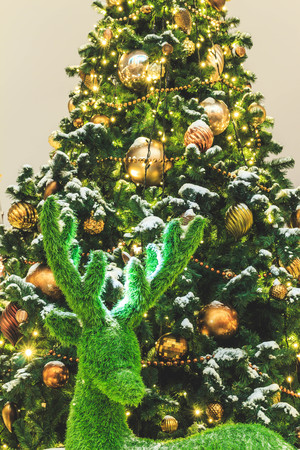 Deer from the grass on the background of a dressed Christmas tree on the evening of the holidayの写真素材