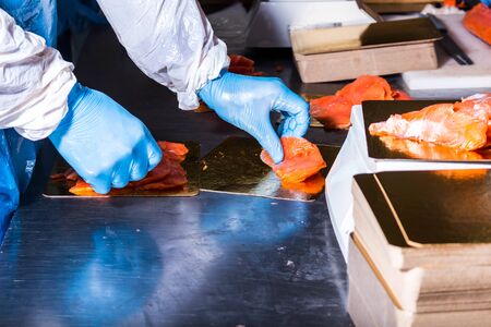 Fish production. Worker lays out pieces of fish on the packaging