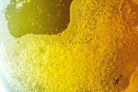 Beer foam with bubbles in a glass in the backlight