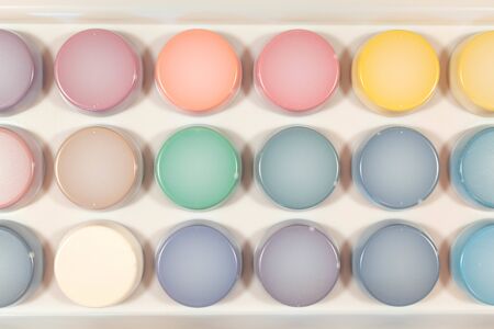 A new box with multi-colored paints for painting on the back.の写真素材