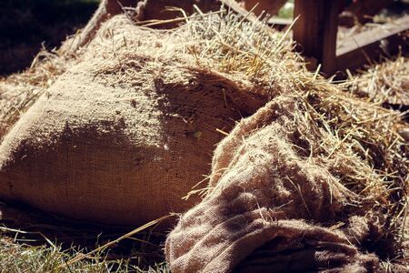 Bags of hay lie on the ground in the sun duringの写真素材