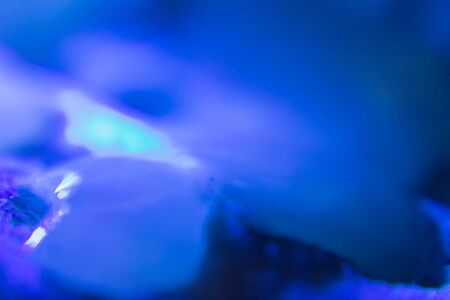 Cum under ultraviolet light. Macro shot