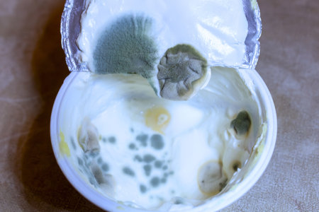 Moldy yogurt container showing food spoilage and bacterial growth concerns