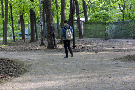 A young person walking alone on a gravel path in a lush green park during a sunny dayの写真素材