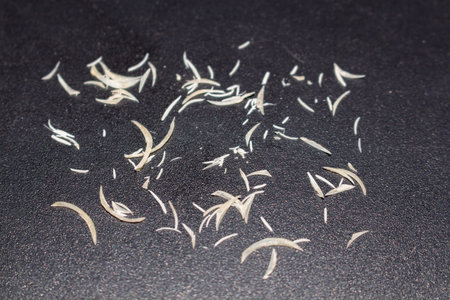 Cut fingernails scattered on dark surface hygiene concept isolated pieces