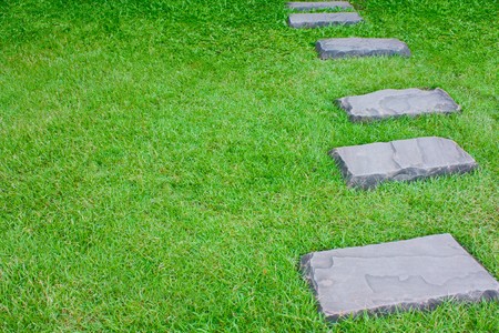 Stone tile padding on green grass.の写真素材