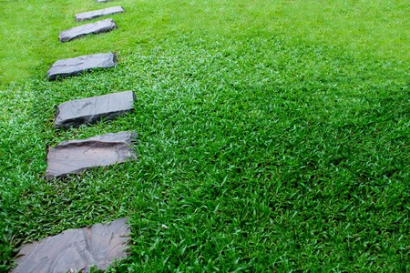 Stone alley on green grass.の写真素材