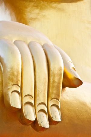Right hand of Buddhaの写真素材