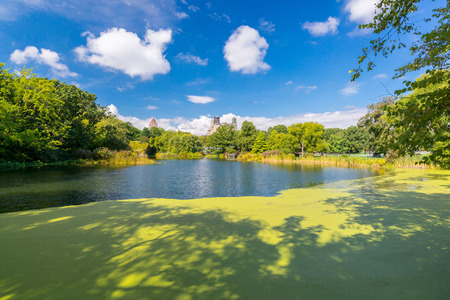 summer landscape in the Central park, New York, USAの写真素材