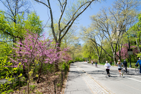 spring landscape in the Central park, New York, USAの写真素材