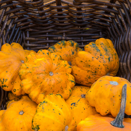 autumn composition of pumpkinsの写真素材