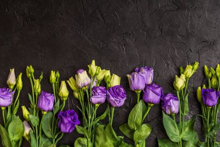Purple eustoma flowers on black textureの写真素材